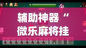 辅助神器“微乐麻将挂先试用后付款”开挂(透视)辅助教程