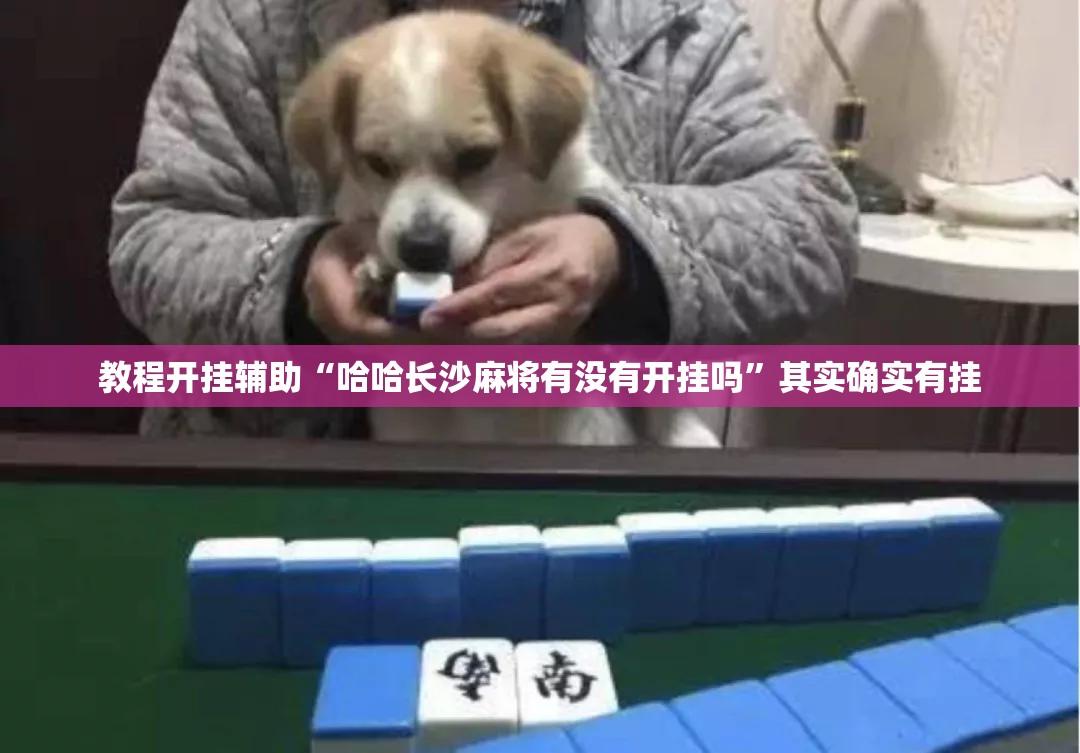 教程开挂辅助“哈哈长沙麻将有没有开挂吗”其实确实有挂