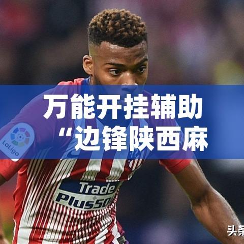 必备科技“尚游麻将开挂神器下载”(透视挂)辅助透视教程