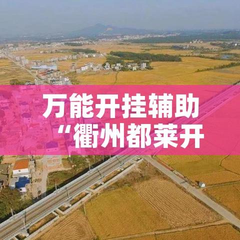 万能开挂辅助“衢州都莱开挂神器链接”科技辅助神器手机版教程