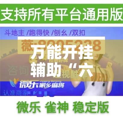 万能开挂辅助“六六顺真的有挂吗”科技辅助神器手机版教程
