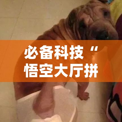 必备科技“悟空大厅拼三张透视挂是不是真的(辅助神器)开挂详细教程