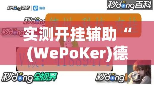 实测开挂辅助“(WePoKer)德州透视挂!辅助神器插件下载