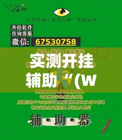 实测开挂辅助“(WePoKer)德州透视挂!辅助神器插件下载