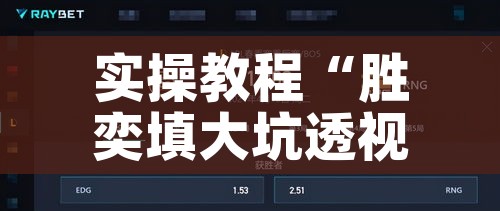 实操教程“胜奕填大坑透视软件”科技辅助神器手机版教程