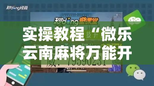 实操教程“微乐云南麻将万能开挂器”(透视挂)辅助透视教程