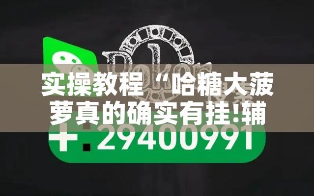 实操教程“哈糖大菠萝真的确实有挂!辅助神器插件下载 实操教程“哈糖大菠萝真的确实有挂!辅助神器插件下载