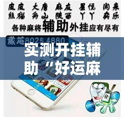 实测开挂辅助“好运麻将App有没有挂”透视开挂辅助教程