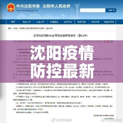沈阳疫情防控最新通告（沈阳发布最新疫情防控通告）