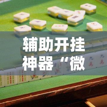 辅助开挂神器“微乐长春麻将怎么开挂(辅助神器)开挂详细教程