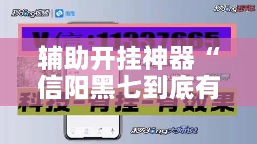 辅助开挂神器“信阳黑七到底有没有挂”科技辅助神器手机版教程