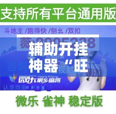 辅助开挂神器“旺旺闽南麻将怎么开挂吗”透视开挂辅助教程
