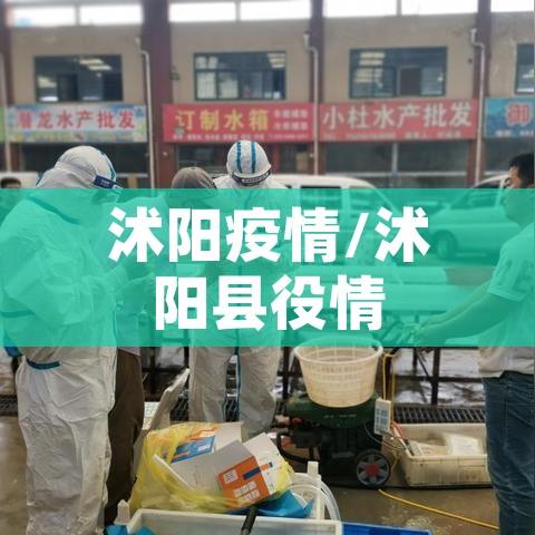 沭阳疫情/沭阳县役情