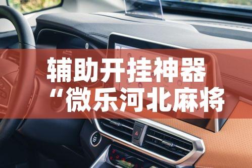 辅助开挂神器“微乐河北麻将助赢神器购买	”科技辅助神器手机版教程