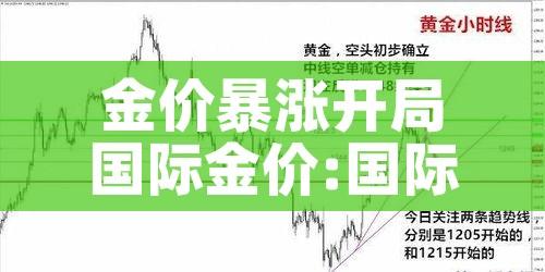 金价暴涨开局国际金价:国际金价持续走高