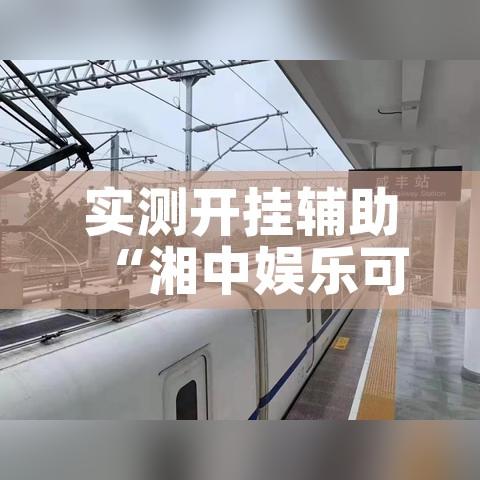 实测开挂辅助“湘中娱乐可以开挂吗!辅助神器插件下载