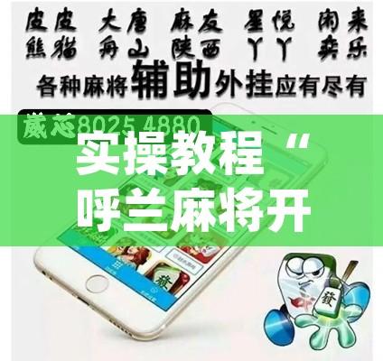 实操教程“呼兰麻将开挂神器下”(透视挂)辅助透视教程