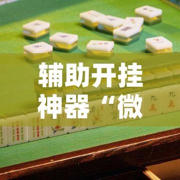 辅助开挂神器“微乐甘肃麻将万能开挂器通用版	”(透视挂)辅助透视教程
