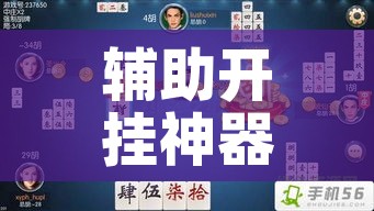 辅助开挂神器“天天贵阳麻将可以开挂吗!辅助神器插件下载