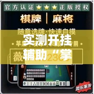 实测开挂辅助“掌中宝麻将怎么装挂”(透视挂)辅助透视教程