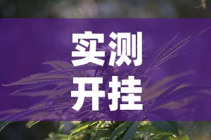 实测开挂辅助“手机麻将十打九赢专用神器”(透视挂)辅助透视教程