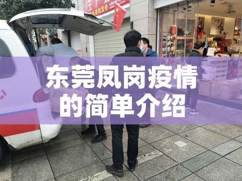 东莞凤岗疫情的简单介绍