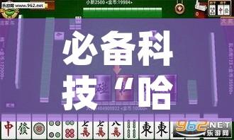必备科技“哈灵麻将的挂真的吗	”(透视挂)辅助透视教程