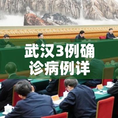 武汉3例确诊病例详情公布/武汉新增3例确诊活动轨迹 武汉3例确诊病例详情公布/武汉新增3例确诊活动轨迹