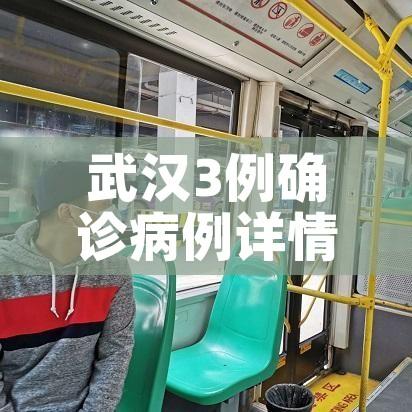 武汉3例确诊病例详情公布/武汉新增3例确诊活动轨迹 武汉3例确诊病例详情公布/武汉新增3例确诊活动轨迹