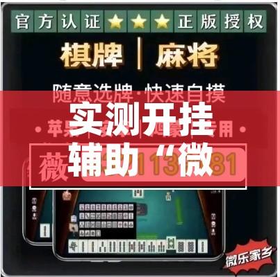 实测开挂辅助“微乐海南麻将小程序必赢神器	”透视开挂辅助教程