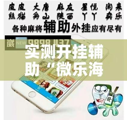 实测开挂辅助“微乐海南麻将小程序必赢神器”透视开挂辅助教程