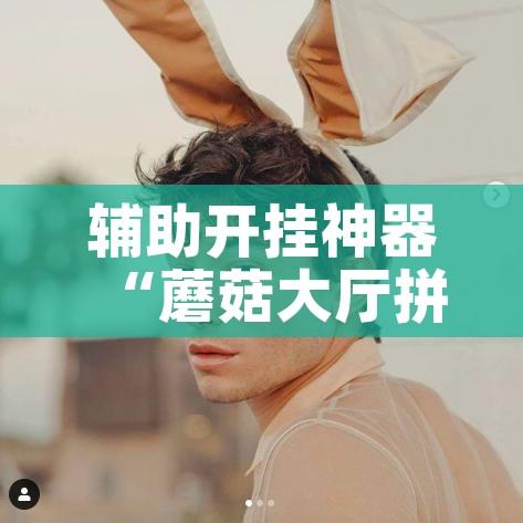 辅助开挂神器“蘑菇大厅拼十确实真的有挂”透视开挂辅助教程