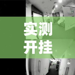 实测开挂辅助“友间十三张究竟到底有没有挂(辅助神器)开挂详细教程