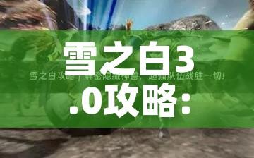 雪之白3.0攻略:雪之白40攻略