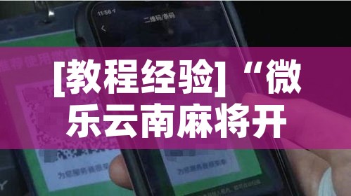 [教程经验]“微乐云南麻将开挂教程	”(透视挂)辅助透视教程