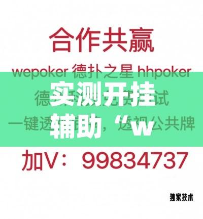 实测开挂辅助“wepoker德州辅助软件挂”透视开挂辅助教程