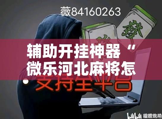 辅助开挂神器“微乐河北麻将怎么提高胜率!辅助神器插件下载 辅助开挂神器“微乐河北麻将怎么提高胜率!辅助神器插件下载