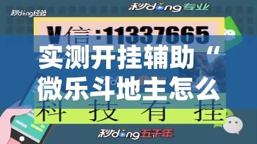 实测开挂辅助“微乐斗地主怎么才能让系统发好牌”(透视挂)辅助透视教程