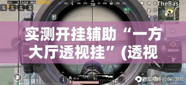 实测开挂辅助“一方大厅透视挂”(透视挂)辅助透视教程