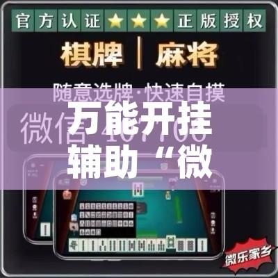 万能开挂辅助“微乐龙江麻将万能开挂器	”(透视挂)辅助透视教程