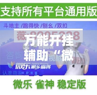 万能开挂辅助“微乐龙江麻将万能开挂器	”(透视挂)辅助透视教程