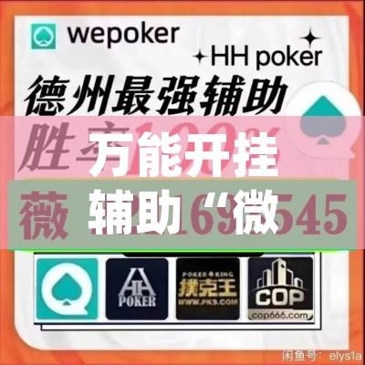 万能开挂辅助“微乐龙江麻将万能开挂器”(透视挂)辅助透视教程