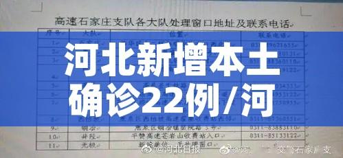 河北新增本土确诊22例/河北新增本土确诊20例