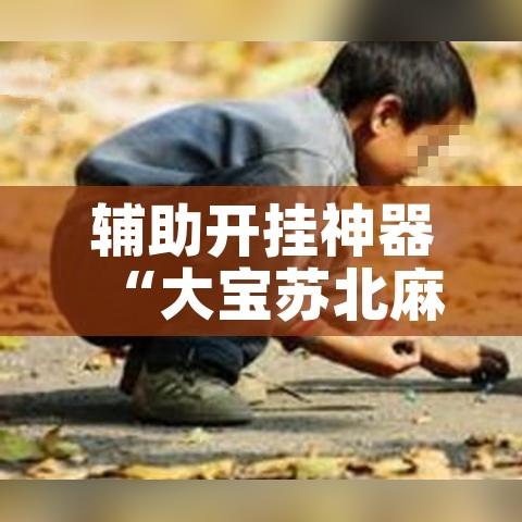 辅助开挂神器“大宝苏北麻将可以开挂吗	”科技辅助神器手机版教程