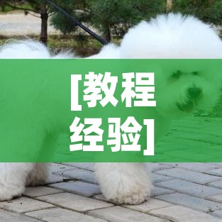[教程经验]“手机打麻将怎么开挂看对方的牌	”科技辅助神器手机版教程