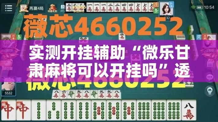 实测开挂辅助“微乐甘肃麻将可以开挂吗	”透视开挂辅助教程