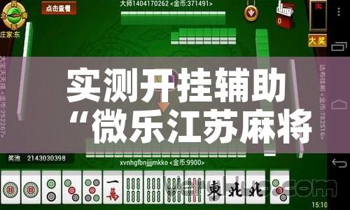 实测开挂辅助“微乐江苏麻将万能开挂器	”科技辅助神器手机版教程