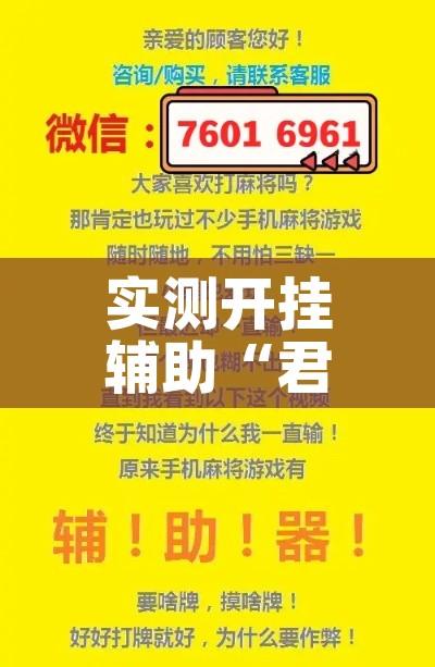 实测开挂辅助“君临天下到底有挂吗”科技辅助神器手机版教程