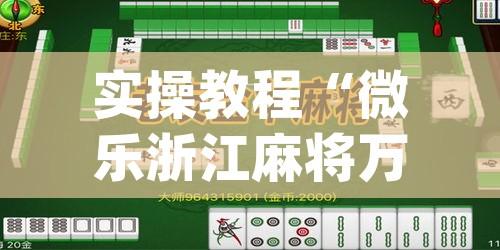 实操教程“微乐浙江麻将万能开挂器通用版”(透视挂)辅助透视教程