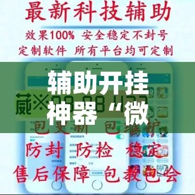 辅助开挂神器“微乐斗地主外卦神器下载”(透视挂)辅助透视教程
